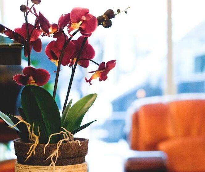 Rugs Hotel Düsseldorf