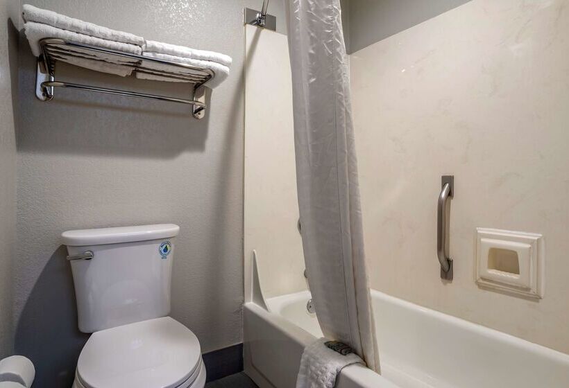 ホテル Best Western Carlton Suites