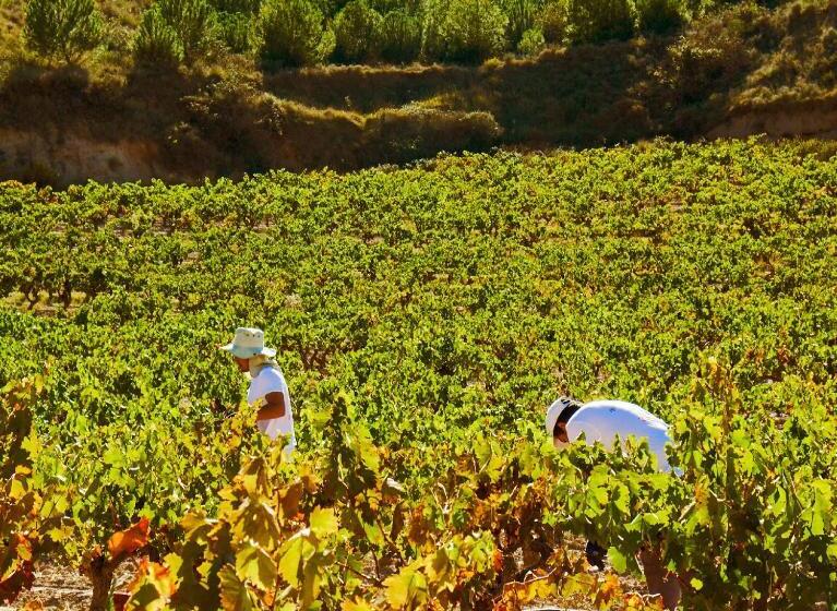 هتل Vinícola Real 200 Monges