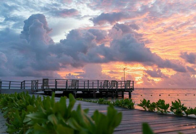 酒店 Cancun Bay All Inclusive