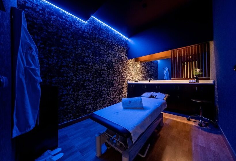 בית מלון כפרי Castilla Termal Olmedo