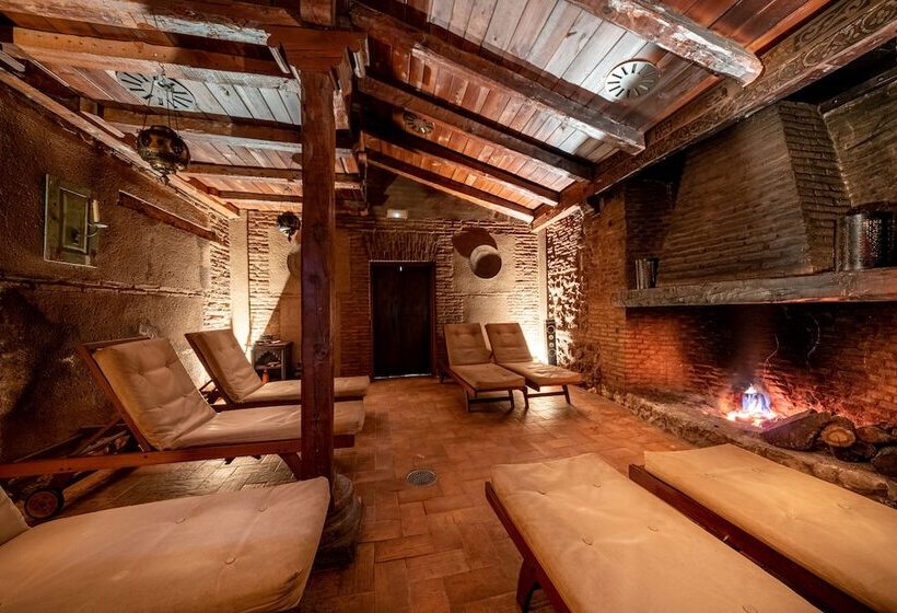 בית מלון כפרי Castilla Termal Olmedo