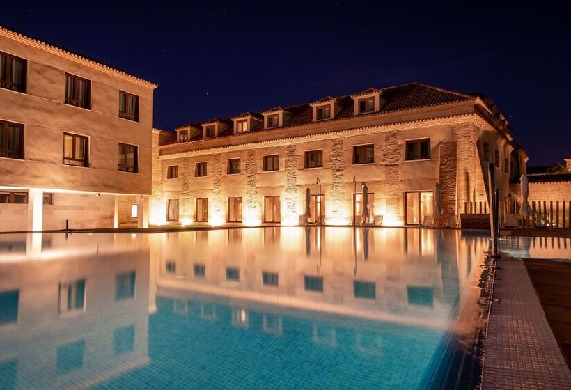 בית מלון כפרי Castilla Termal Olmedo