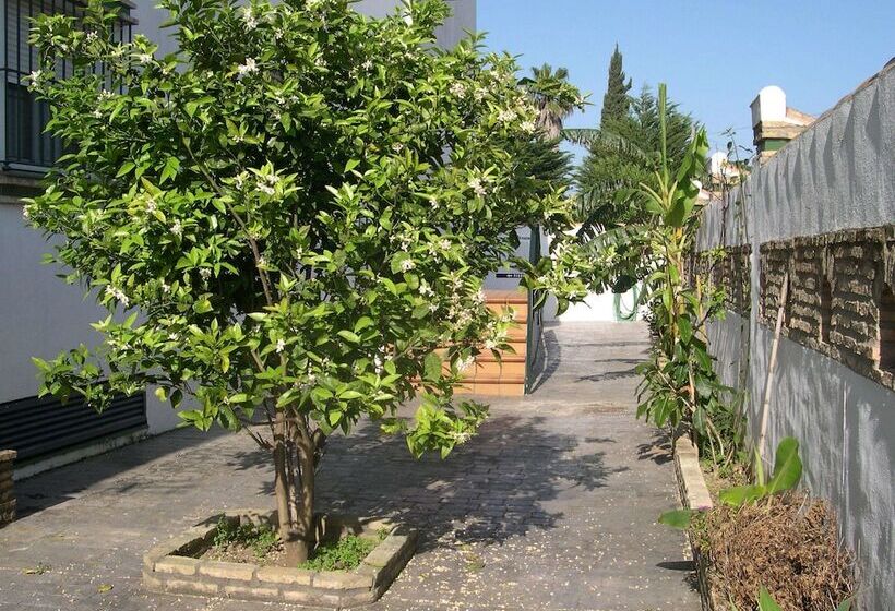 فندق Cortijo Los Gallos