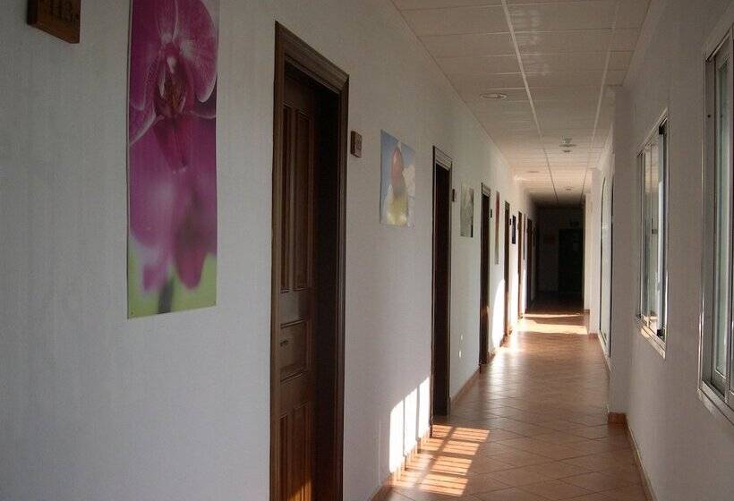 فندق Cortijo Los Gallos