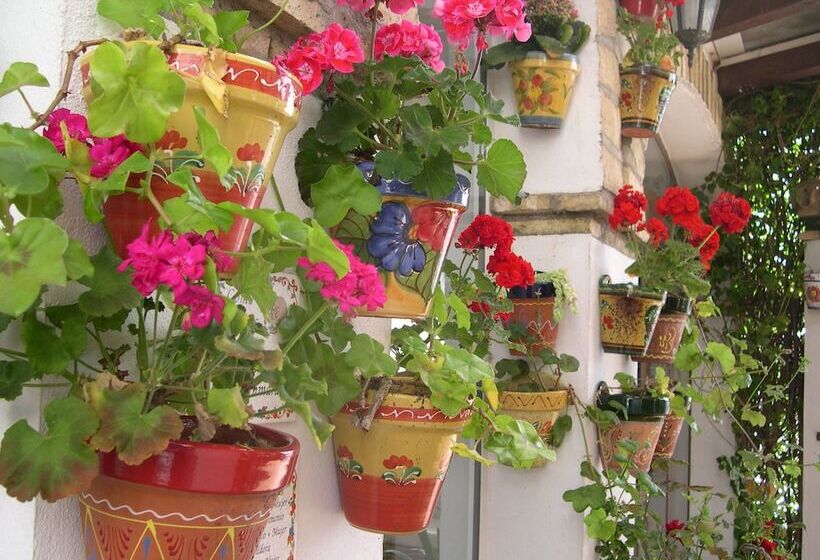 فندق Cortijo Los Gallos