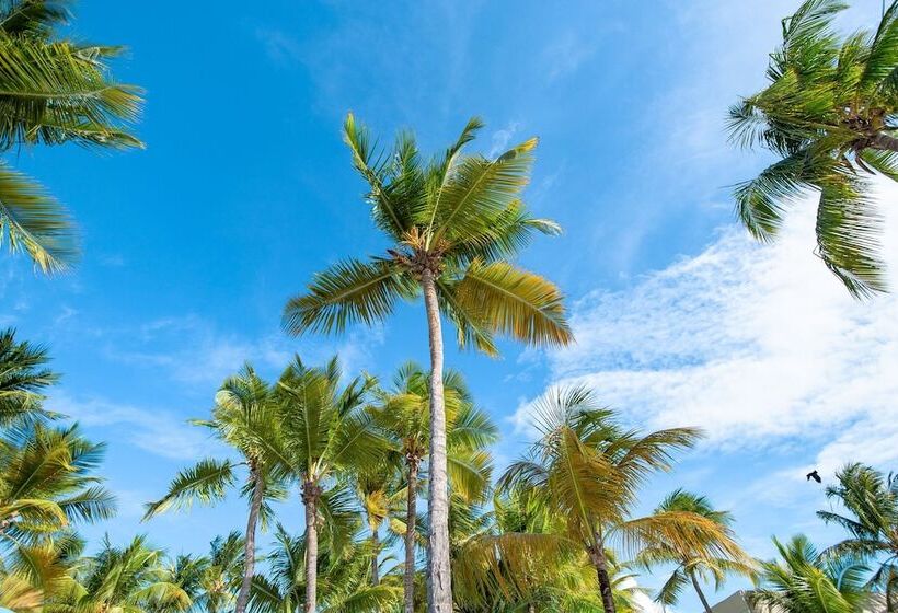 هتل Courtyard By Marriott Isla Verde Beach Resort