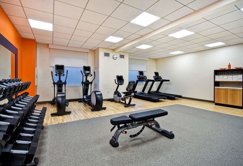 ホテル Hampton Inn Nyjfk