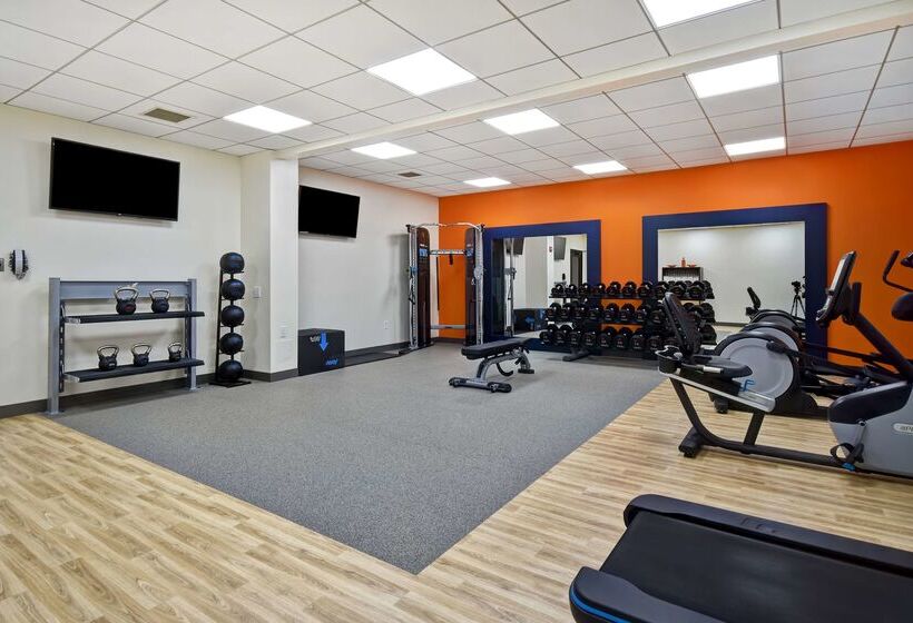 ホテル Hampton Inn Nyjfk