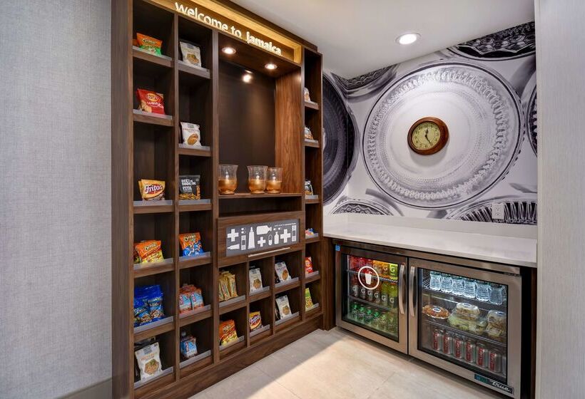 ホテル Hampton Inn Nyjfk