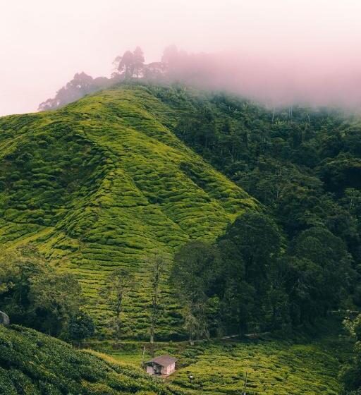 Heritage Hotel Cameron Highlands