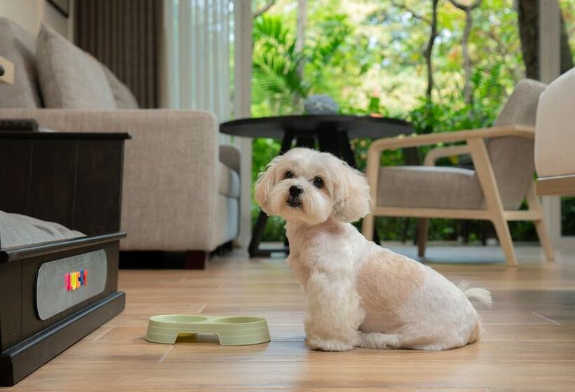 酒店 Hyatt Regency Hua Hin