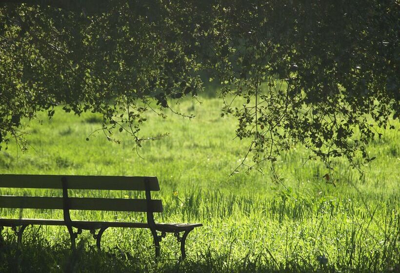 Hotel Kirchbühl Superior