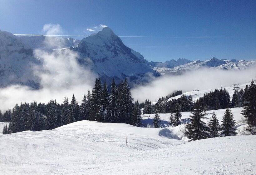 Hotel Kirchbühl Superior