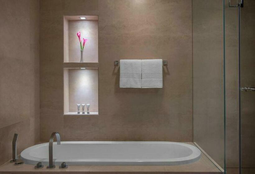 فندق Le Royal Méridien Abu Dhabi