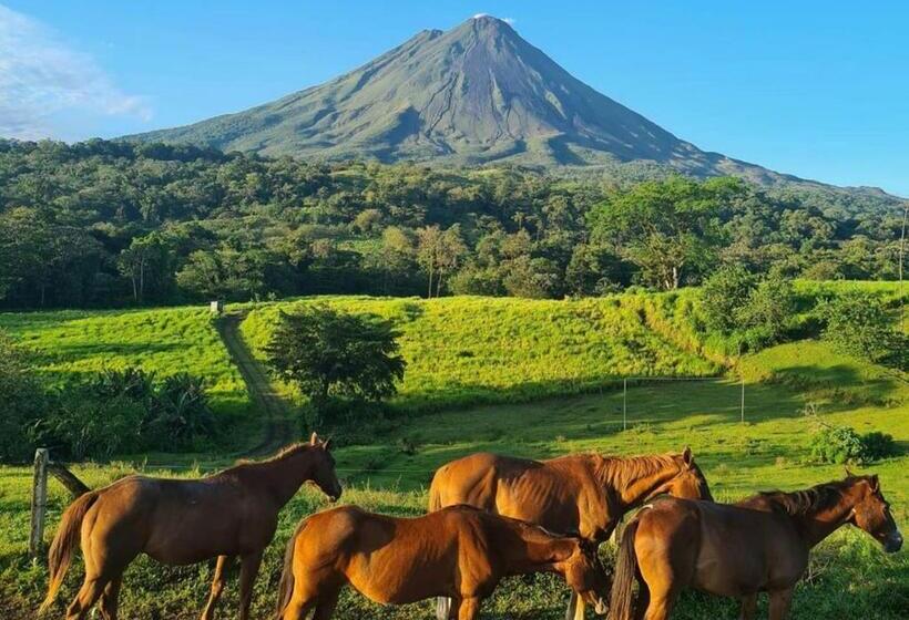هتل Montana De Fuego All Inclusive