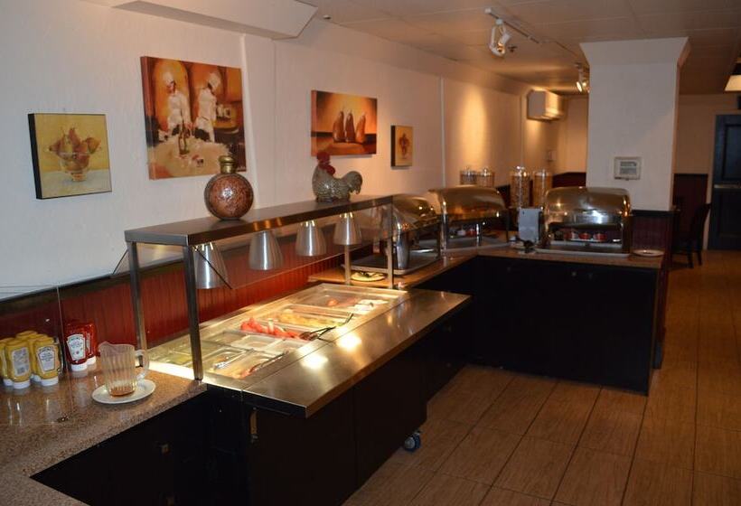 فندق Ramada Plaza By Wyndham Gatineau/manoir Du Casino