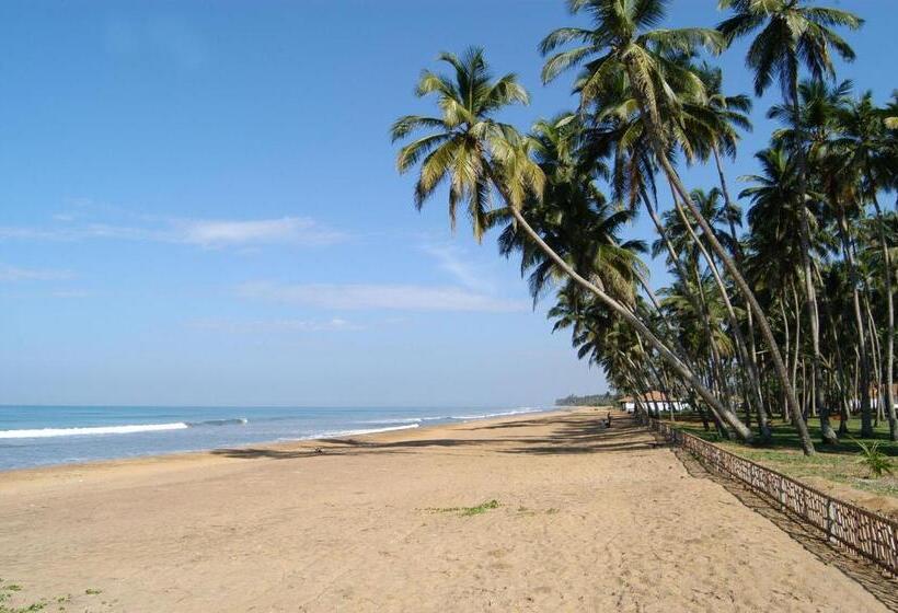 فندق Royal Palms Beach