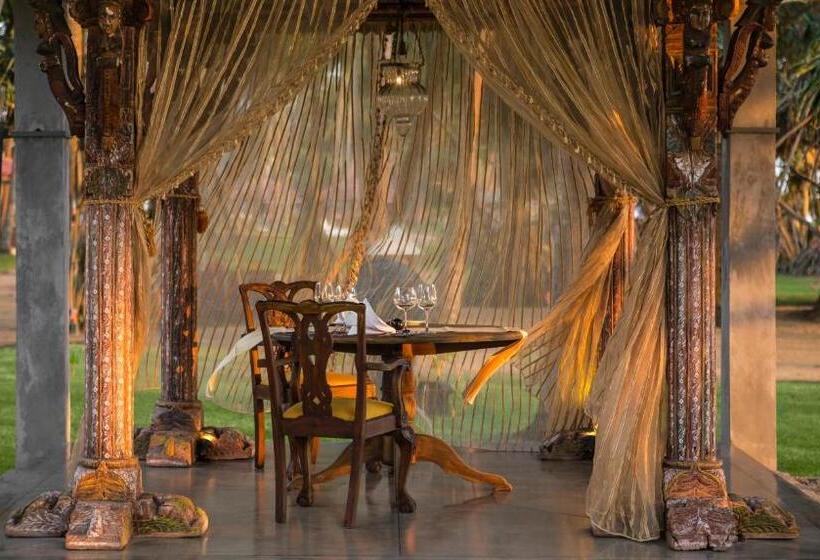 فندق Royal Palms Beach