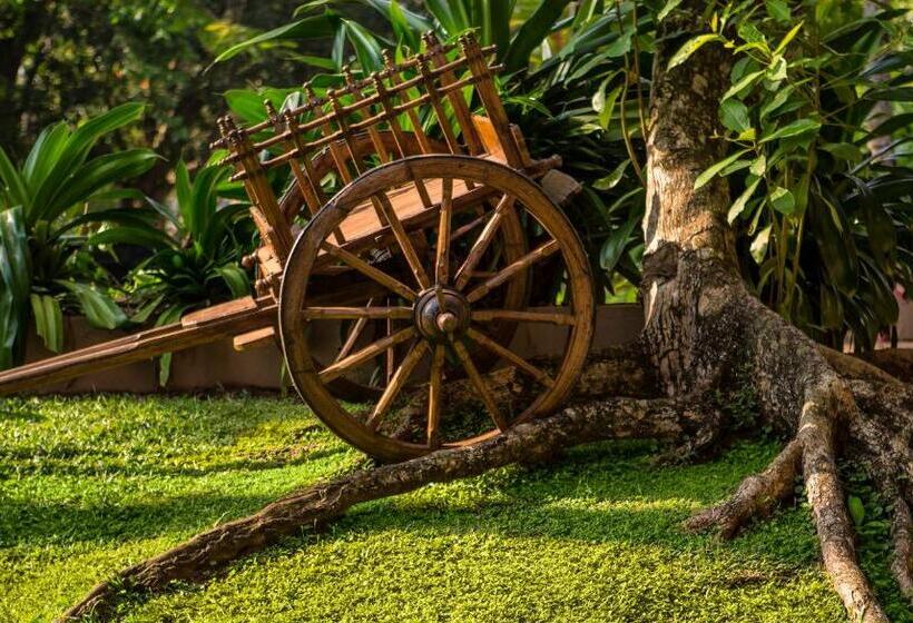 فندق Royal Palms Beach