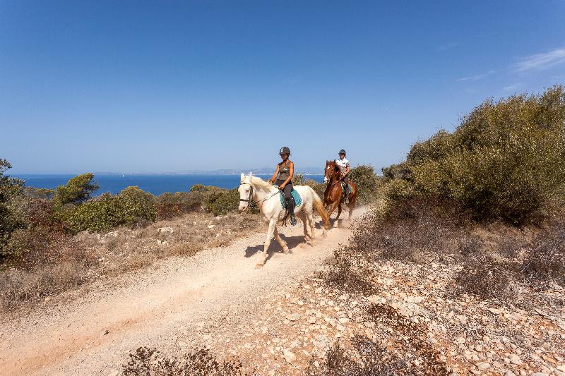 酒店 Sun Club El Dorado - All Inclusive