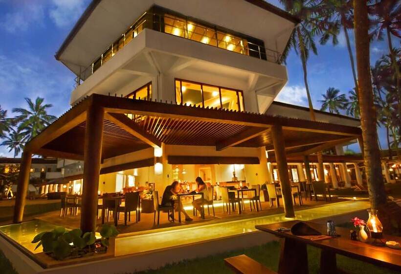 酒店 Tangerine Beach