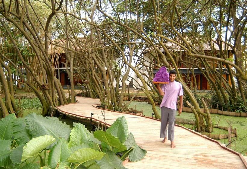 酒店 Tangerine Beach