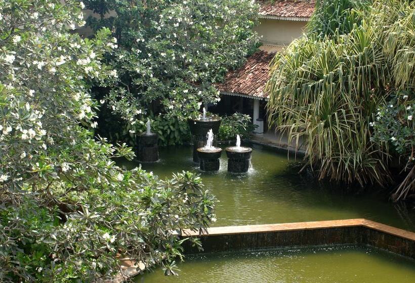 酒店 Tangerine Beach