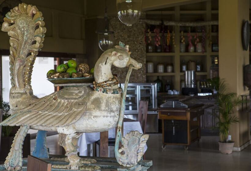 酒店 Tangerine Beach