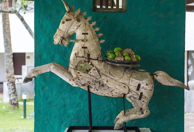 酒店 Tangerine Beach