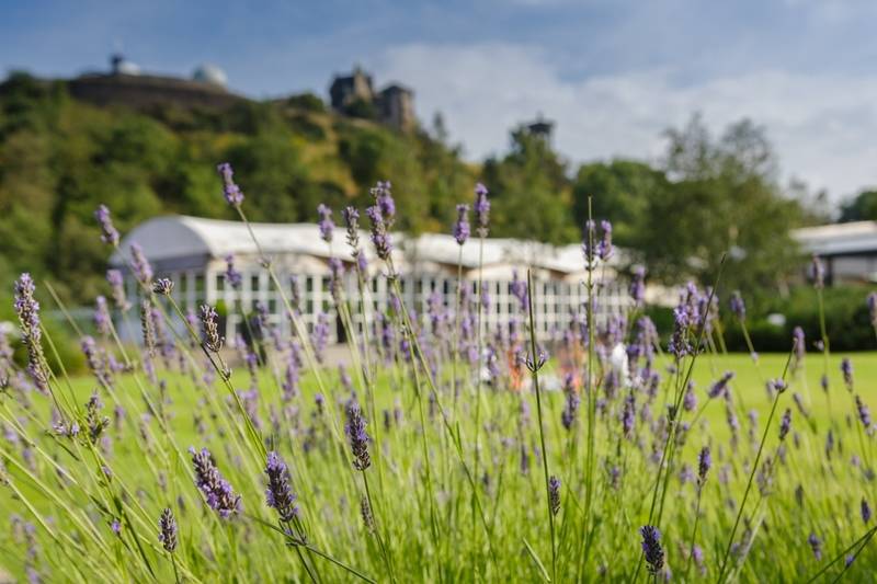 酒店 The Glasshouse, Autograph Collection