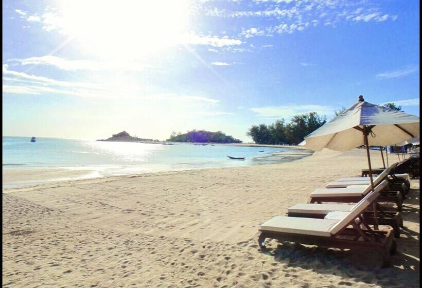 酒店 White House Beach Resort