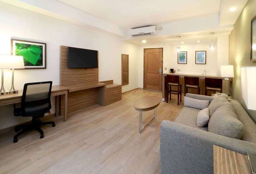 Отель Wyndham Garden Monterrey Valle Real