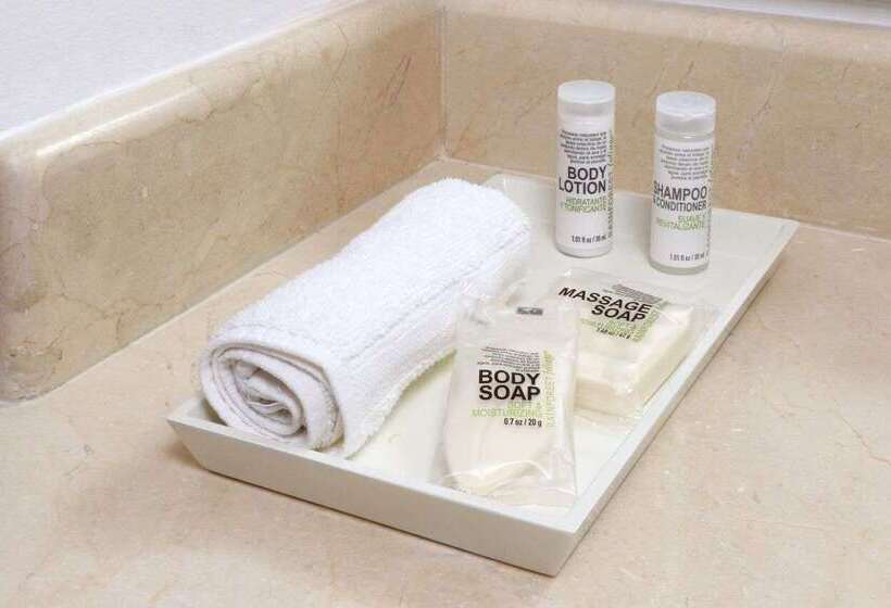 בית מלון כפרי Wyndham Garden Monterrey Valle Real