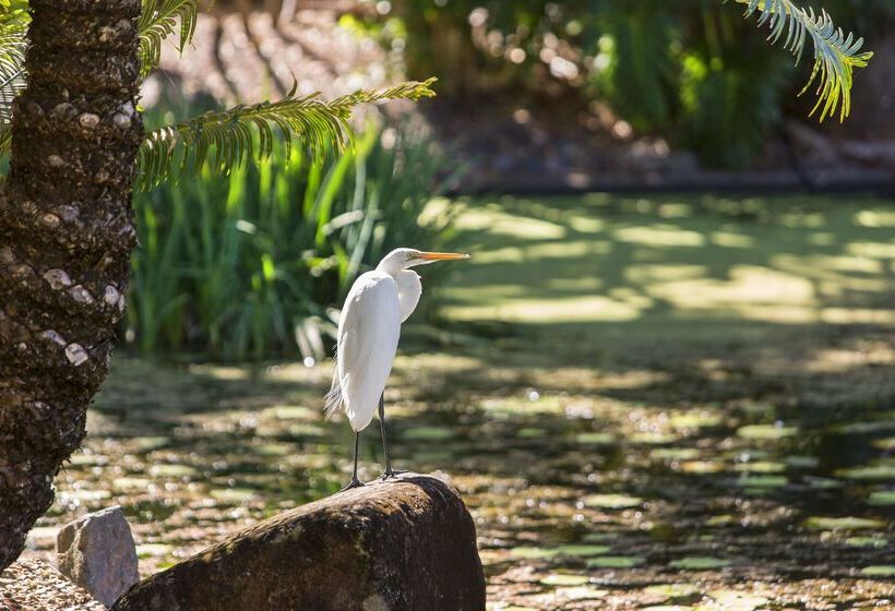 Oaks Sunshine Coast Oasis Resort