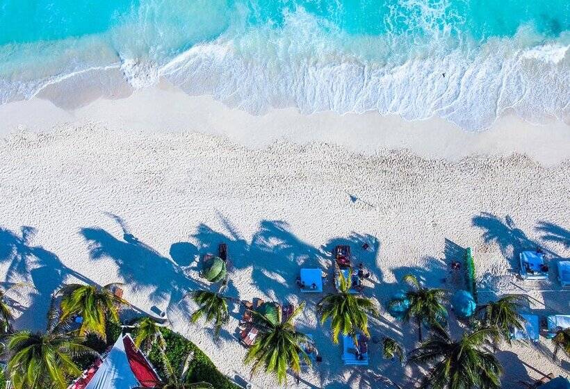 منتجع Grand Oasis Cancun