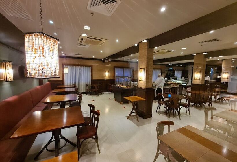 Sky Borges Hotel Alpenhaus   Gramado