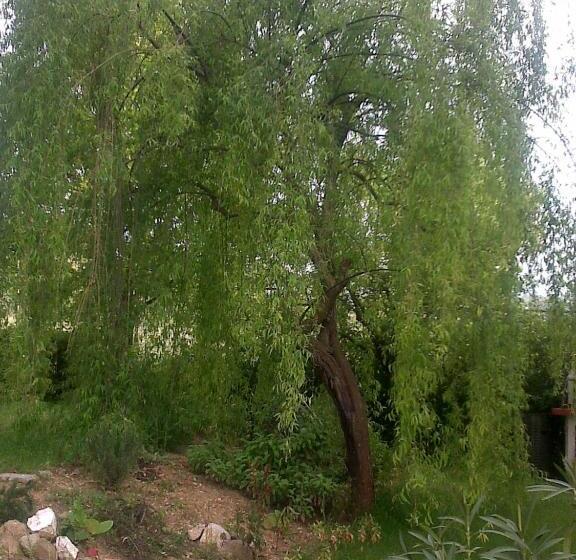 Agriturismo Artisti Del Cavallo