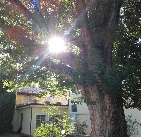 Agriturismo Il Mulino Del Vescovo