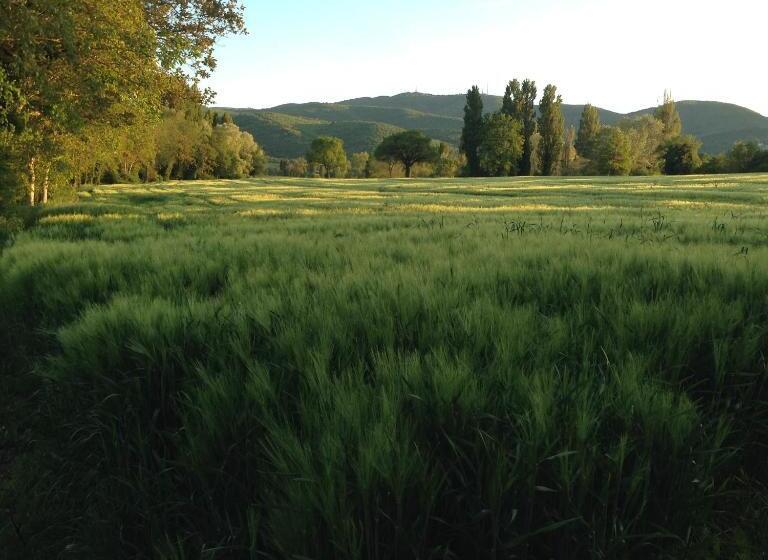 Agriturismo Il Mulino Del Vescovo