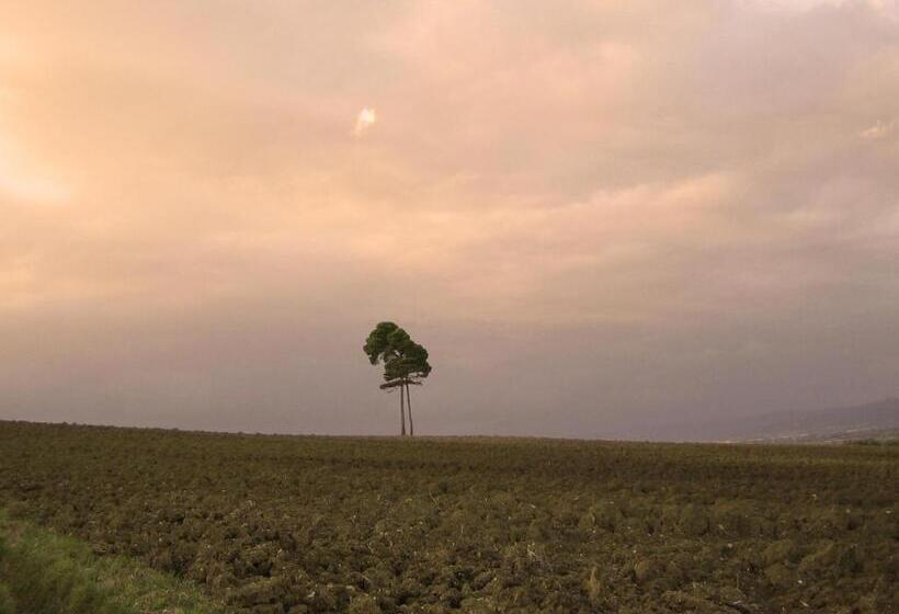 Agriturismo Il Mulino Del Vescovo