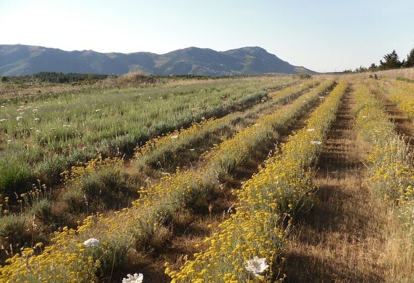 B&b Fragus E Saboris De Sardigna