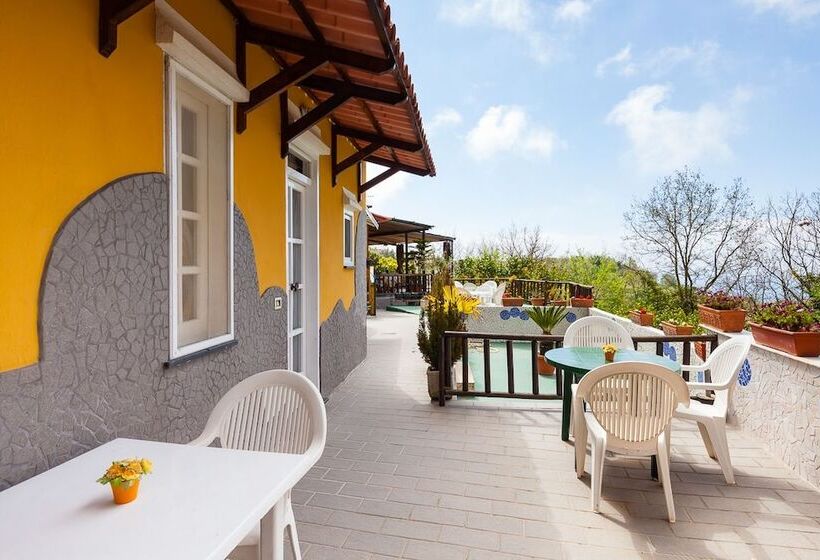 B&b Nitrodi Experience