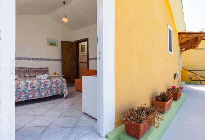 B&b Nitrodi Experience