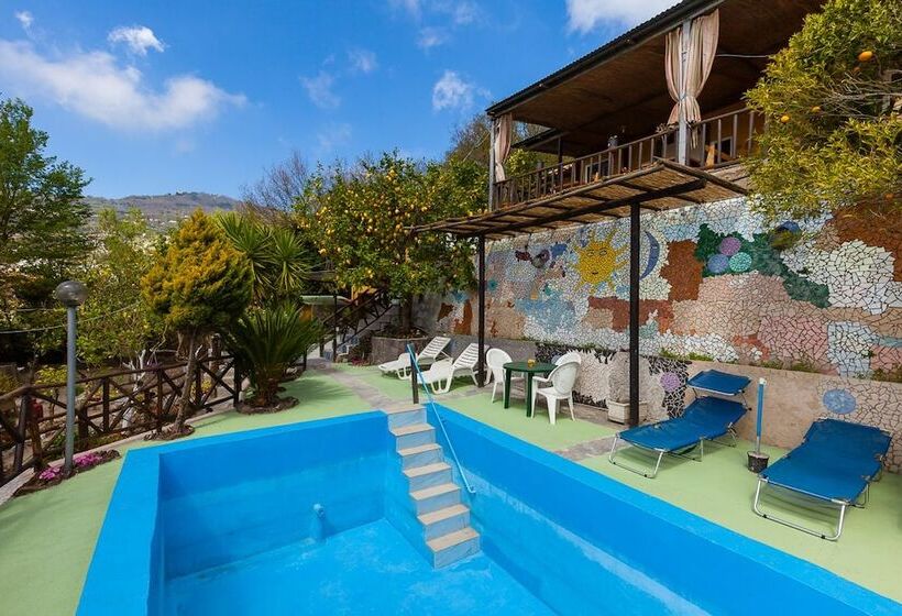 B&b Nitrodi Experience