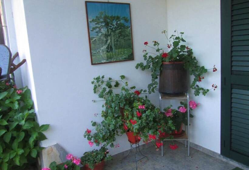 B&b Sole Del Pollino