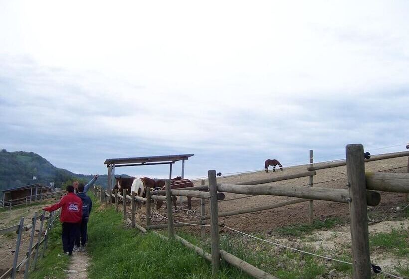 ベッドアンドブレックファースト Casa Cairo Rooms&services