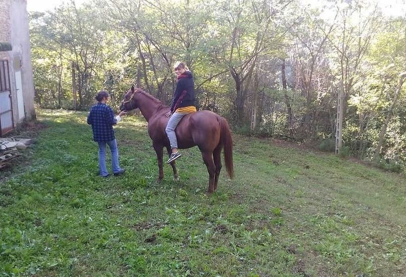 ベッドアンドブレックファースト Casa Cairo Rooms&services