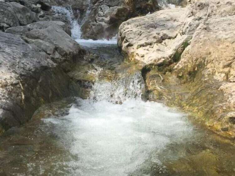 مبيت وإفطار Casa Sakurai