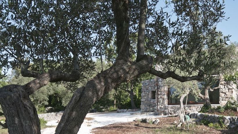 Bed and Breakfast Dimora Casanoja